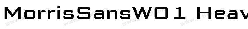 MorrisSansW01 Heavy字体转换